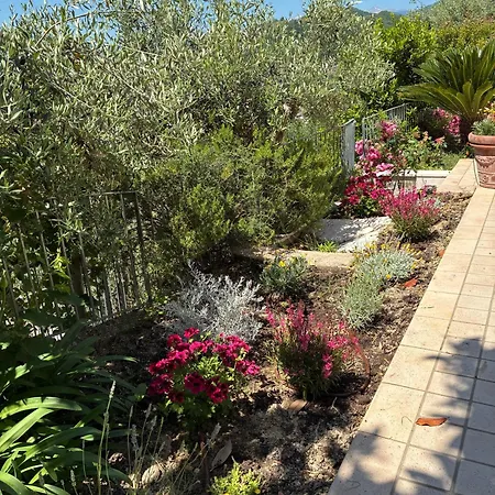 Bed & Breakfast Radici 3*