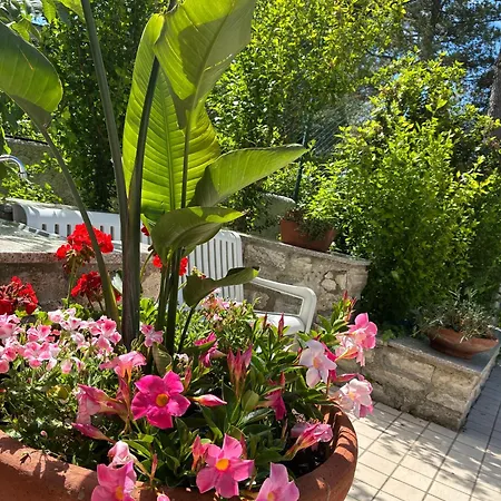 Bed & Breakfast Radici 3*